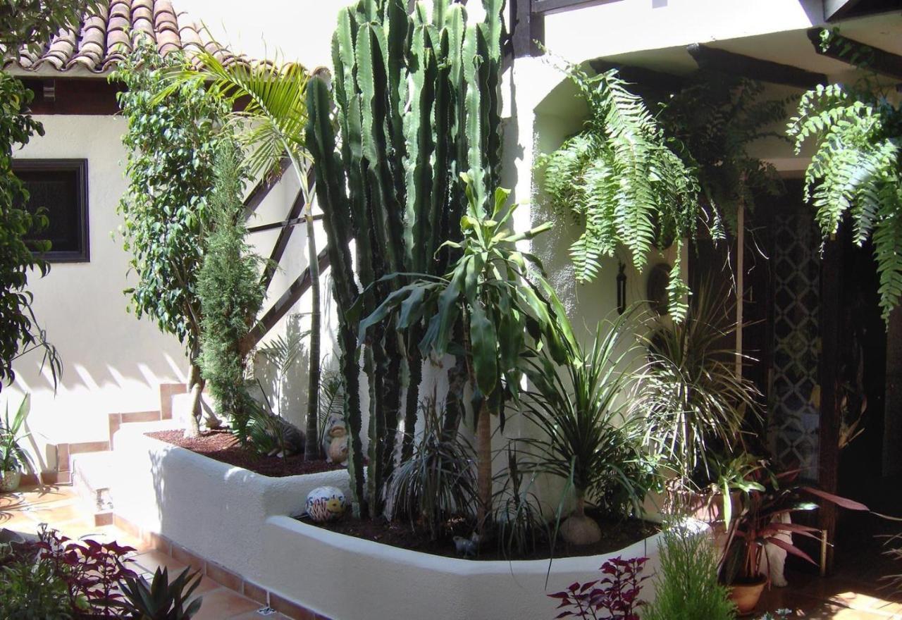 Aptos Monasterio De San Antonio 6 Икод-де-лос-Винос Экстерьер фото